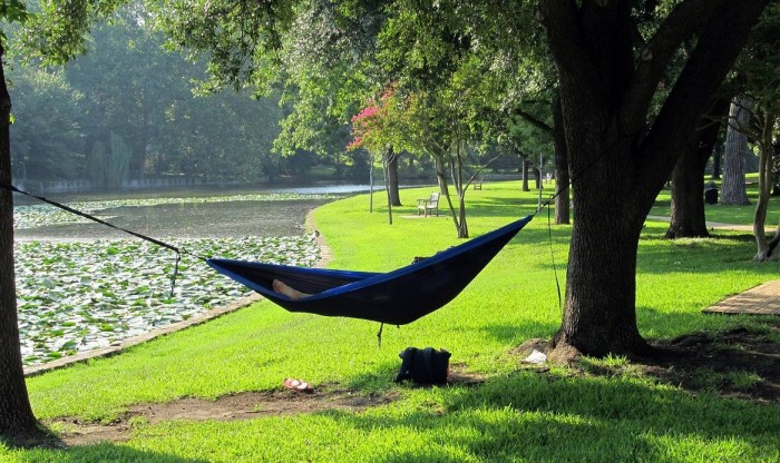 hammock-new
