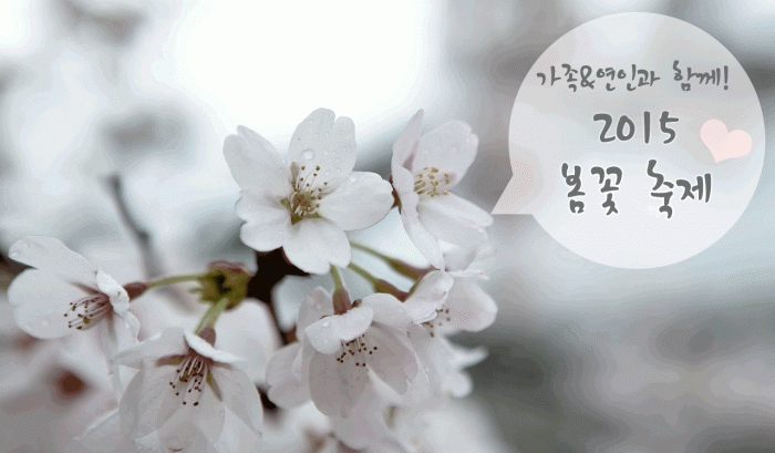 spring-festival