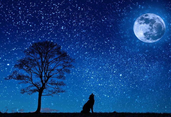 night_new