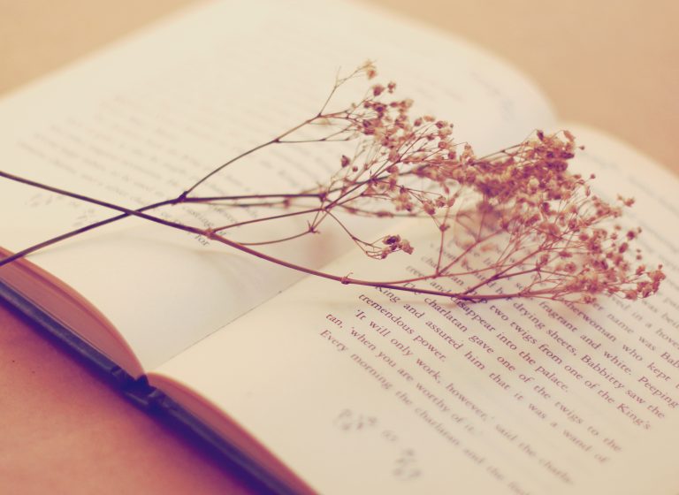 Old book with dried flowers, retro filter effect